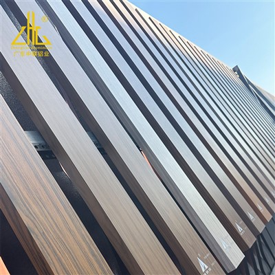 بیرونی موسم-مزاحم لکڑی کے دانے ایلومینیم پروفائلز